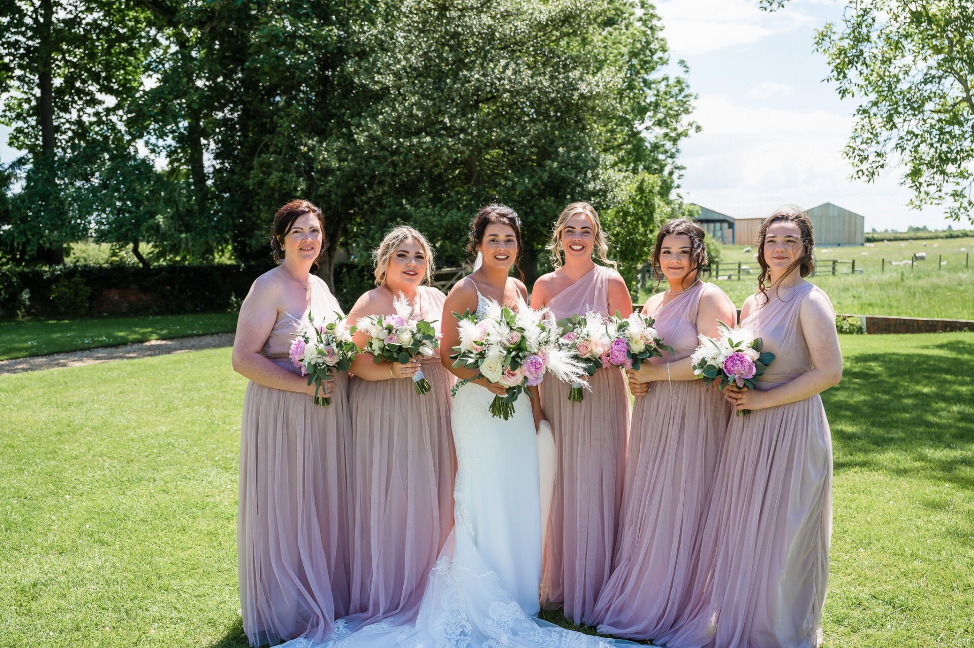 Nicholas Teal Photography Copyright